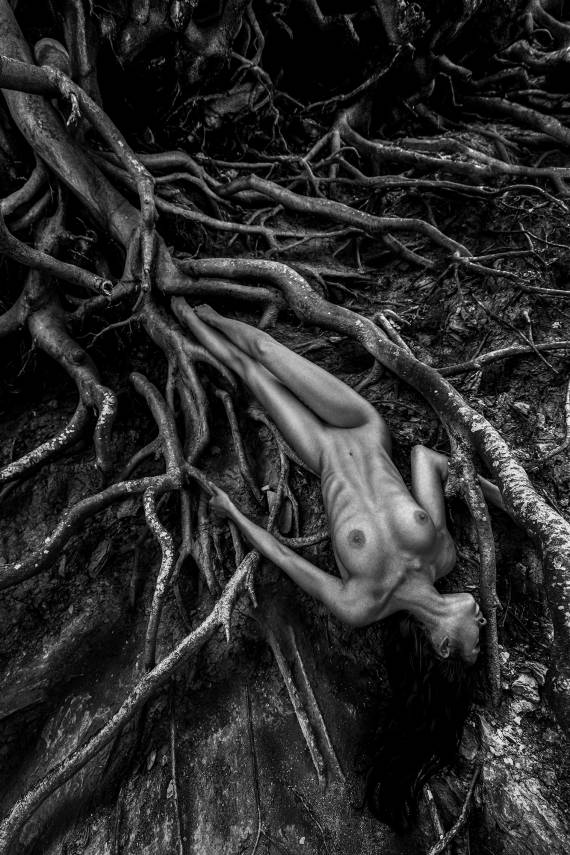 Lifeblood (EuropArtFair Amsterdam exhibition)