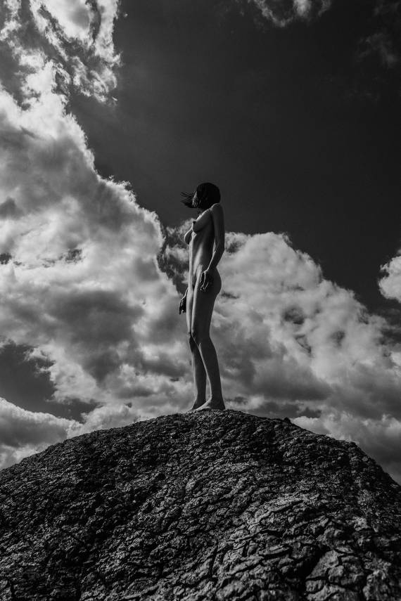 Alive Project