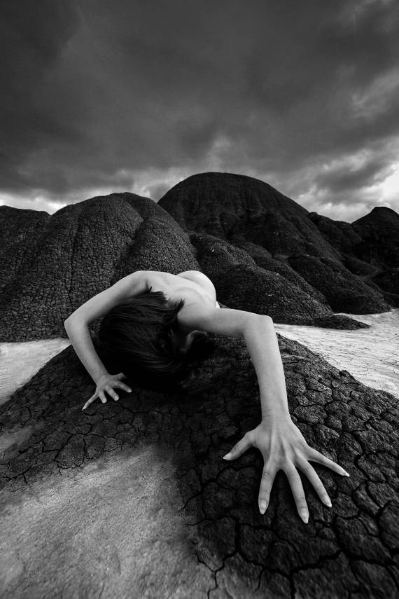Alive Project (Art Nordic Copenaghen exhibition)